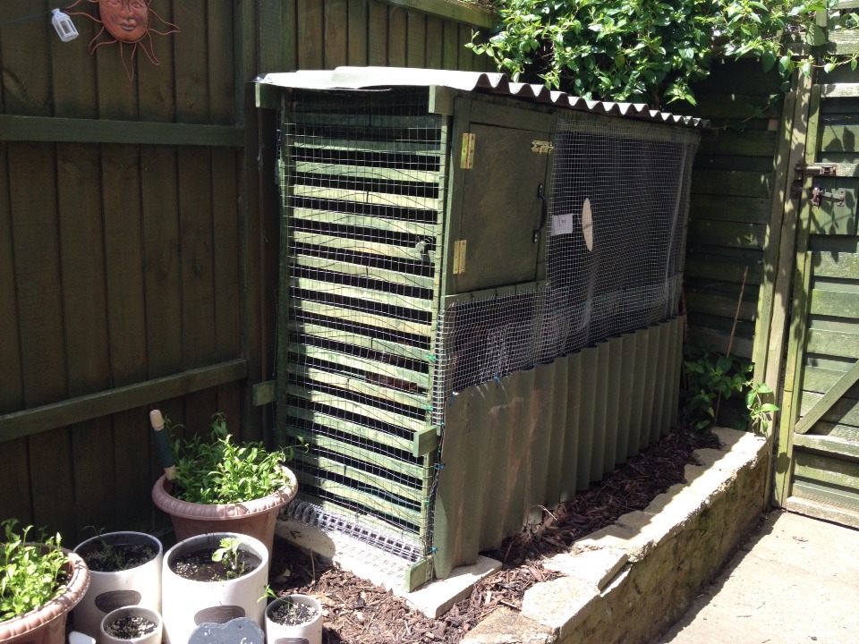 How To Make A Bird Aviary From An Old Wardrobe Musely
