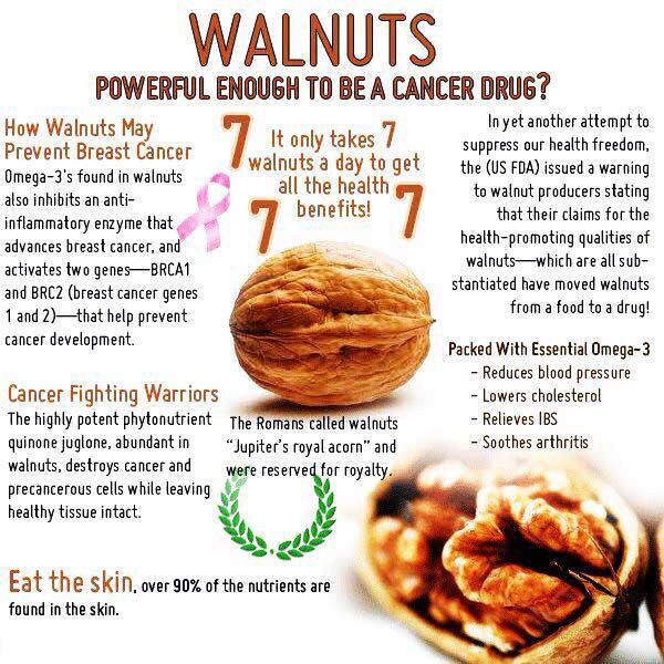 Walnuts Cancer Drug? Musely