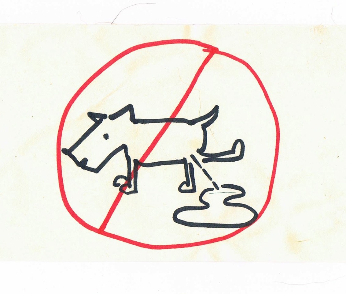 Get Rid Of Dog Urine Smell And Stains Musely