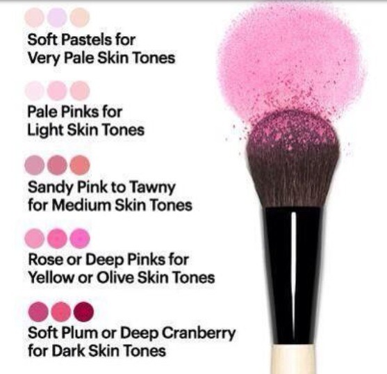 Blush Color & Skin Tone Guide!🙎 Musely