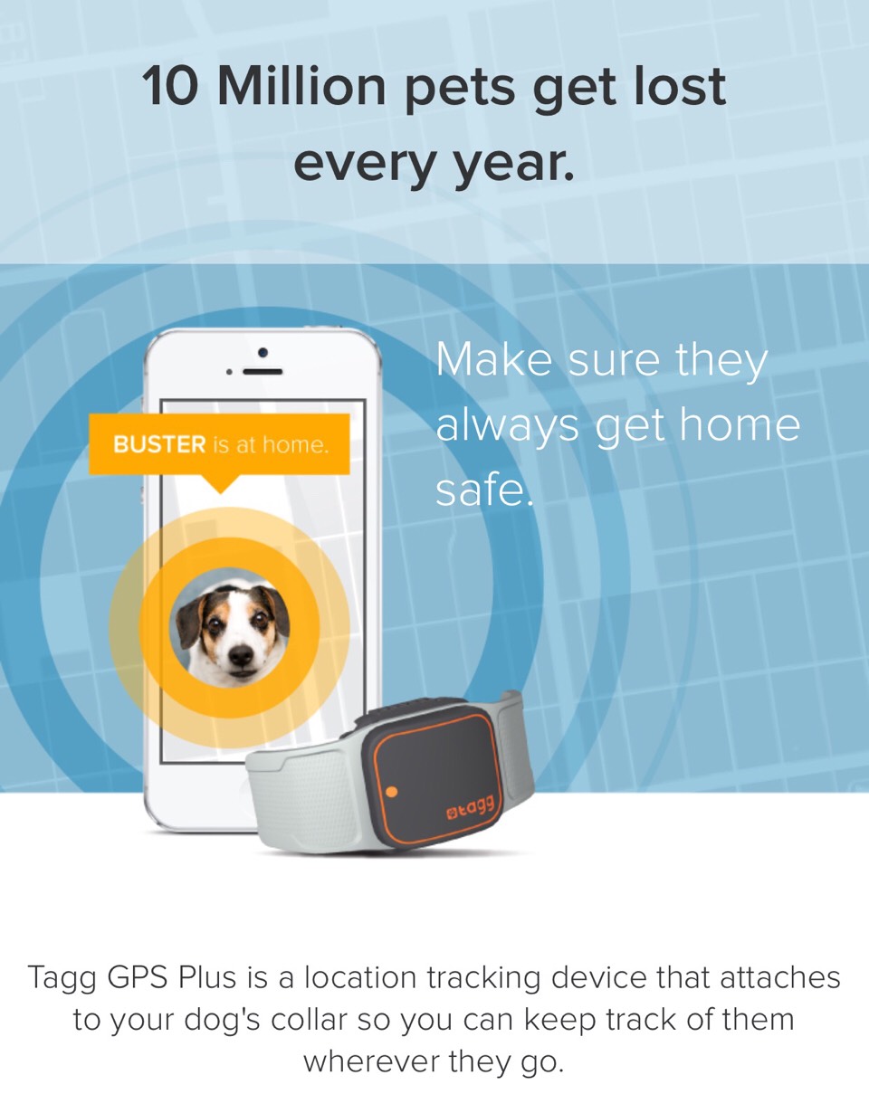 GPS Dog Collar!!! ️ Musely