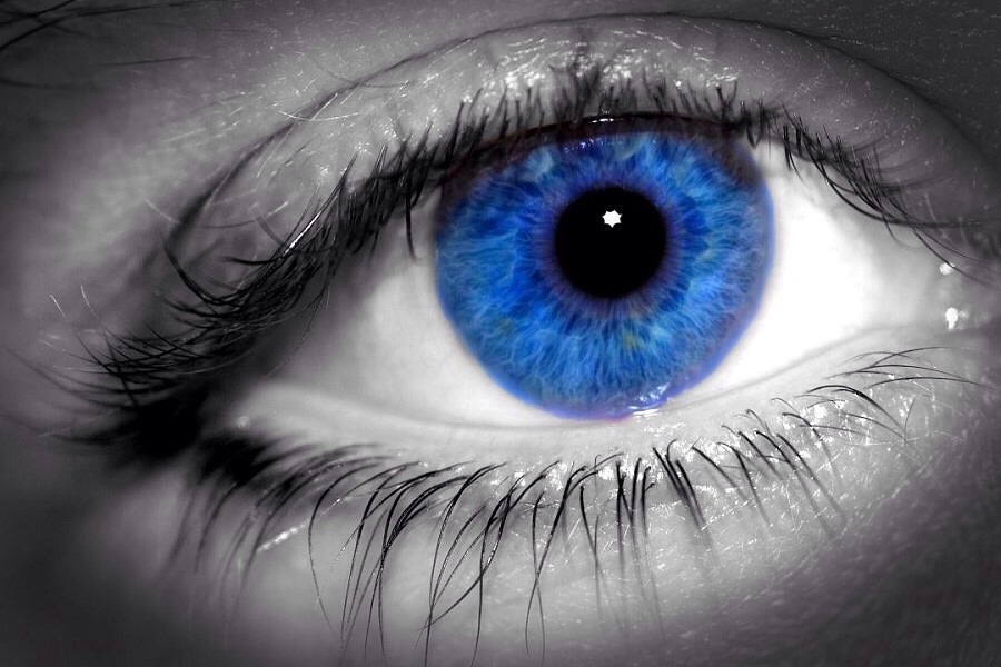People With Blue Eyes Are Able To See Better In The Dark Musely