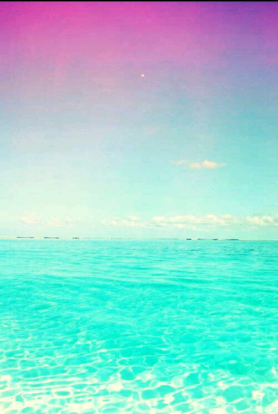 cute wallpapers Musely