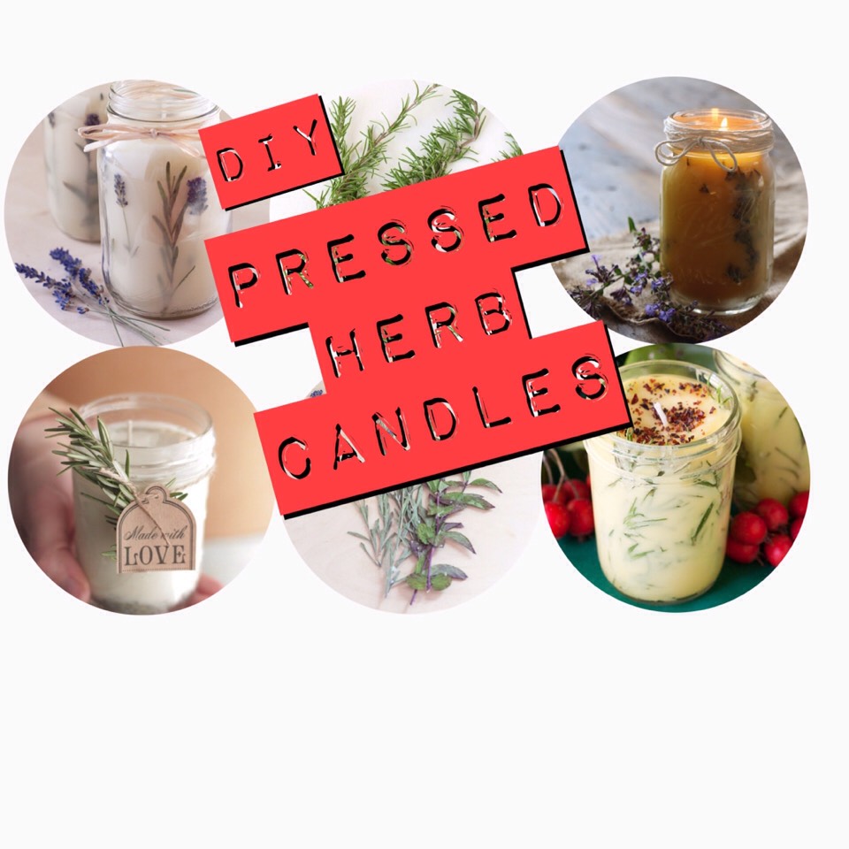 diy pressed herb flower