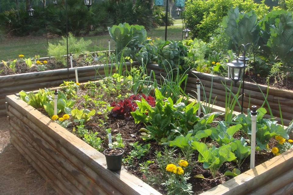 Vegetable Garden Ideas For Spring musely Vegetable Garden Ideas For Spring musely