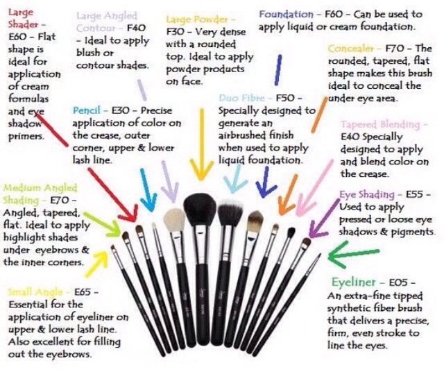 Knowing The Different Brushes Musely