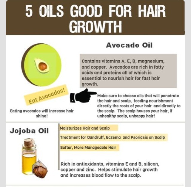 5 Oils Good For Hair Growth Musely