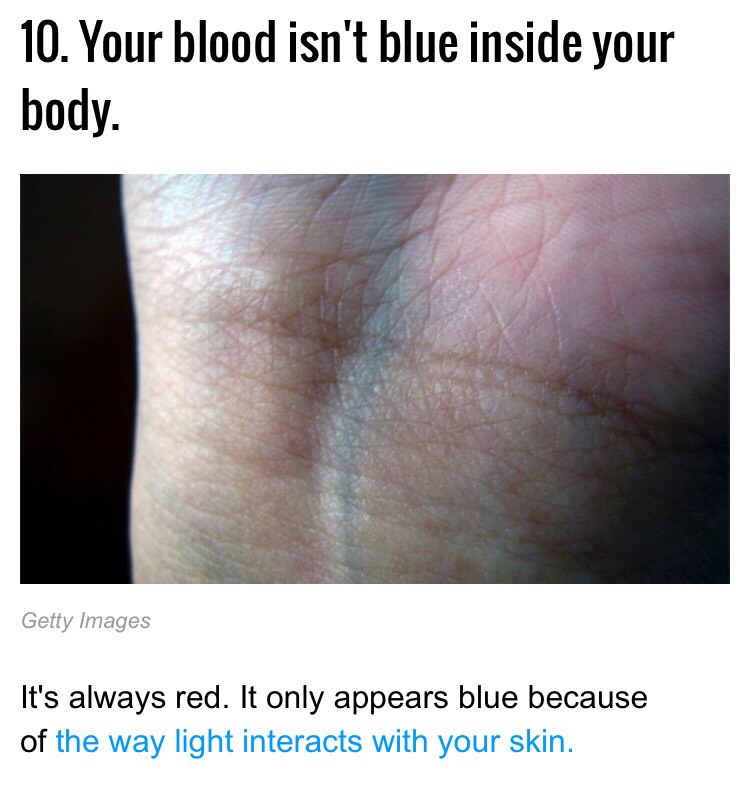 15 Facts Everyone Should Know Musely