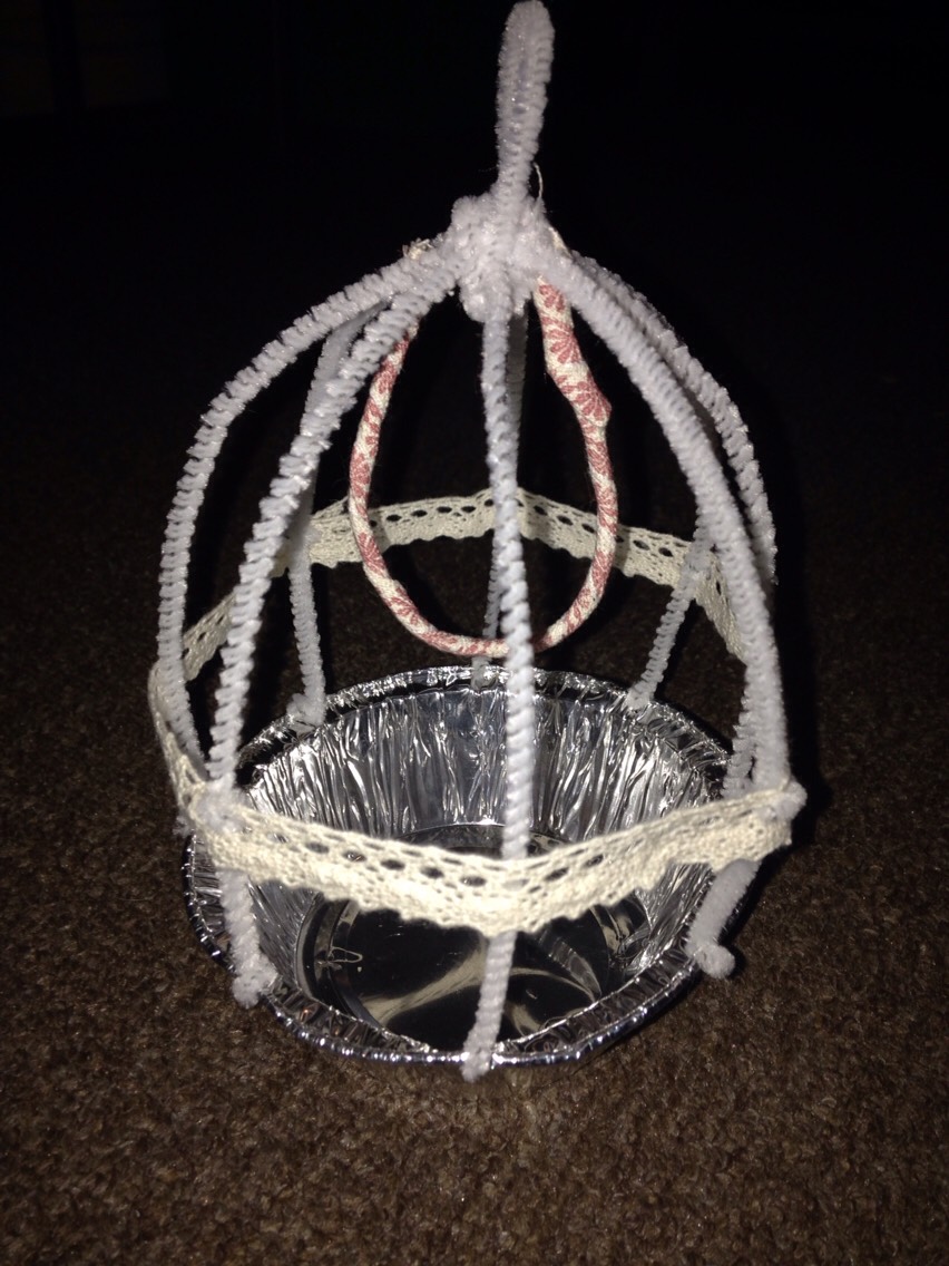 Pipe Cleaner ( Bird Cage ) So Cute Musely