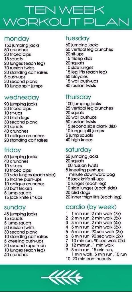 Burn Fat Feed Muscle Free Download Week 40 70 Russian