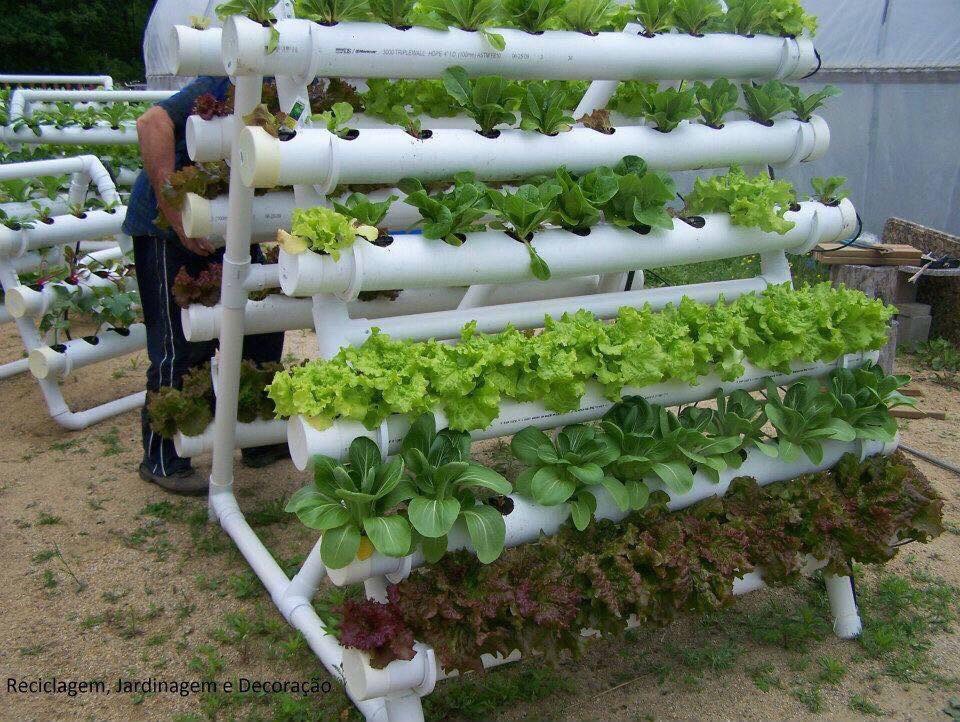 Great Ideas To Grow Plants In Pvc Tubes! Musely